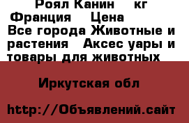  Роял Канин 20 кг Франция! › Цена ­ 3 520 - Все города Животные и растения » Аксесcуары и товары для животных   . Иркутская обл.